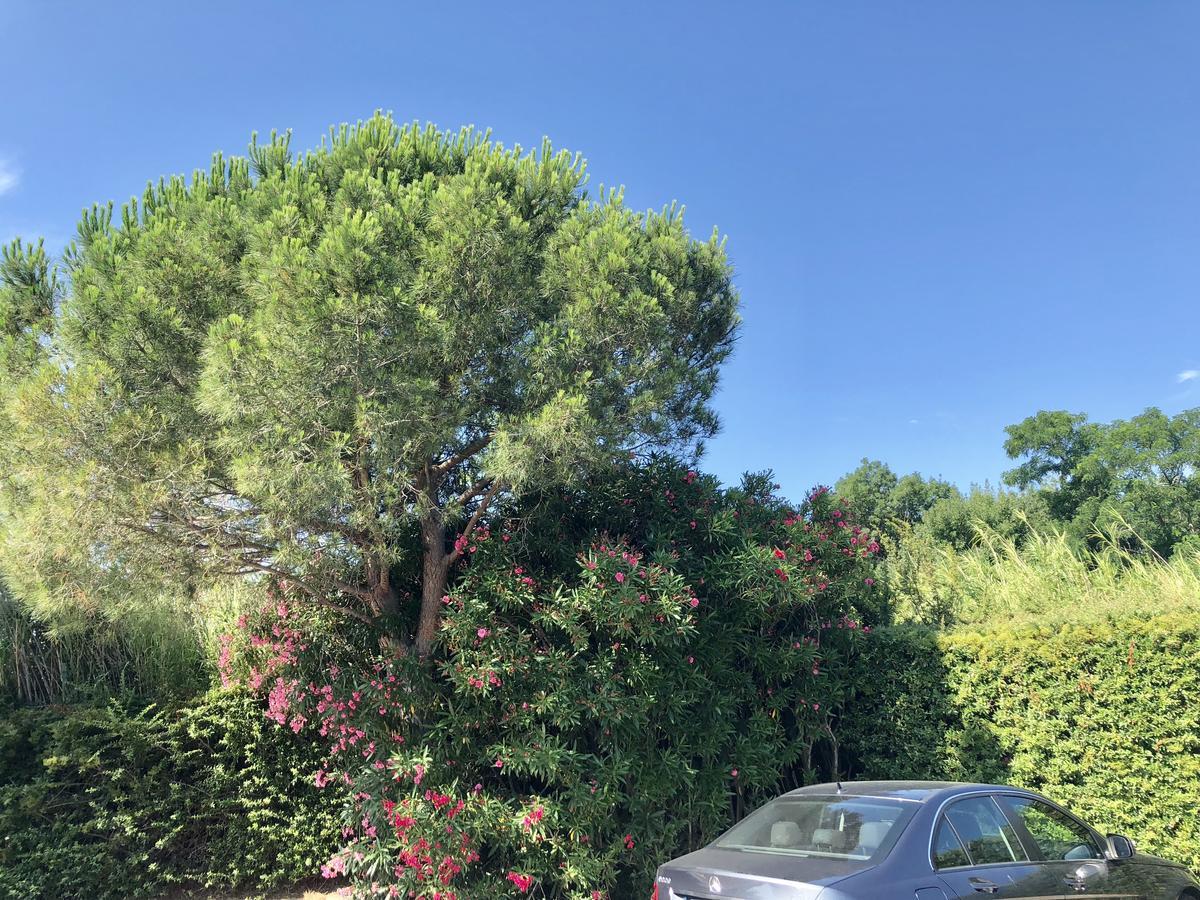 Premiere Classe Perpignan Sud Exterior foto